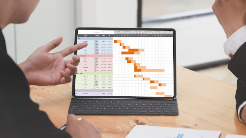 Program Management